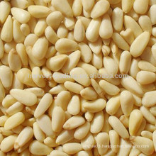 High quality pine nut kernels